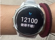 步数